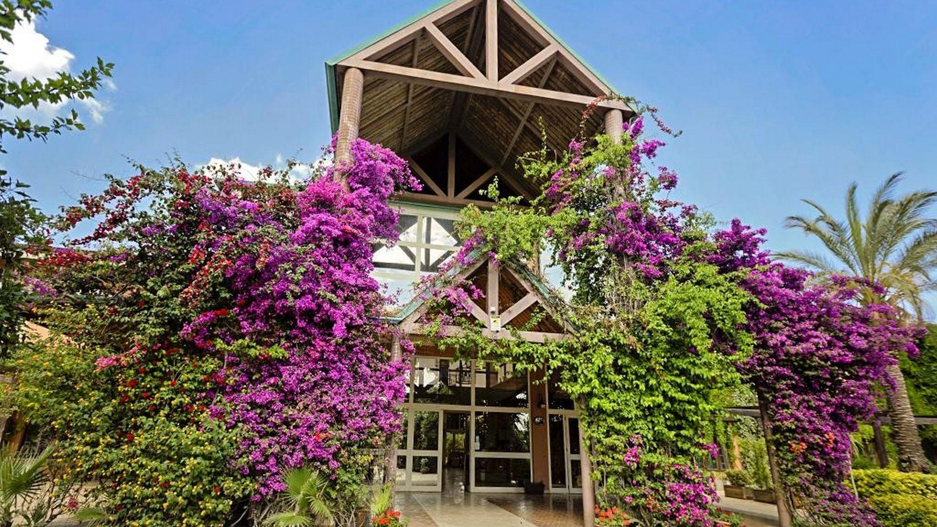 Minerva Resort
