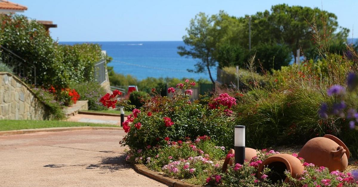 Cilento