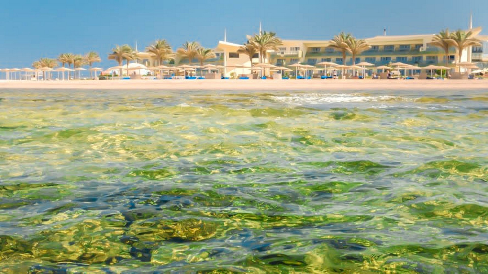 Barcelo Tiran