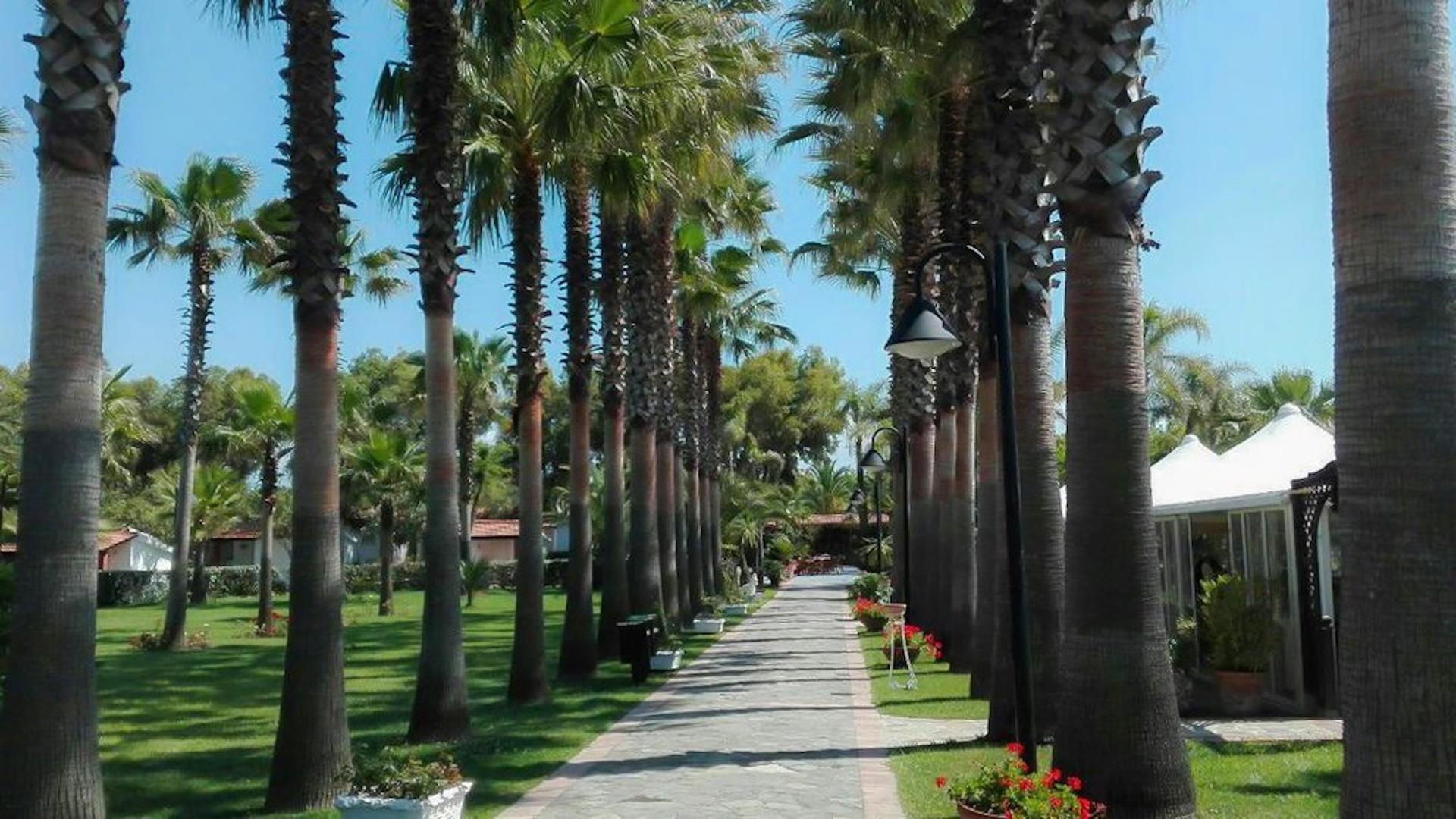 Family Village Velia