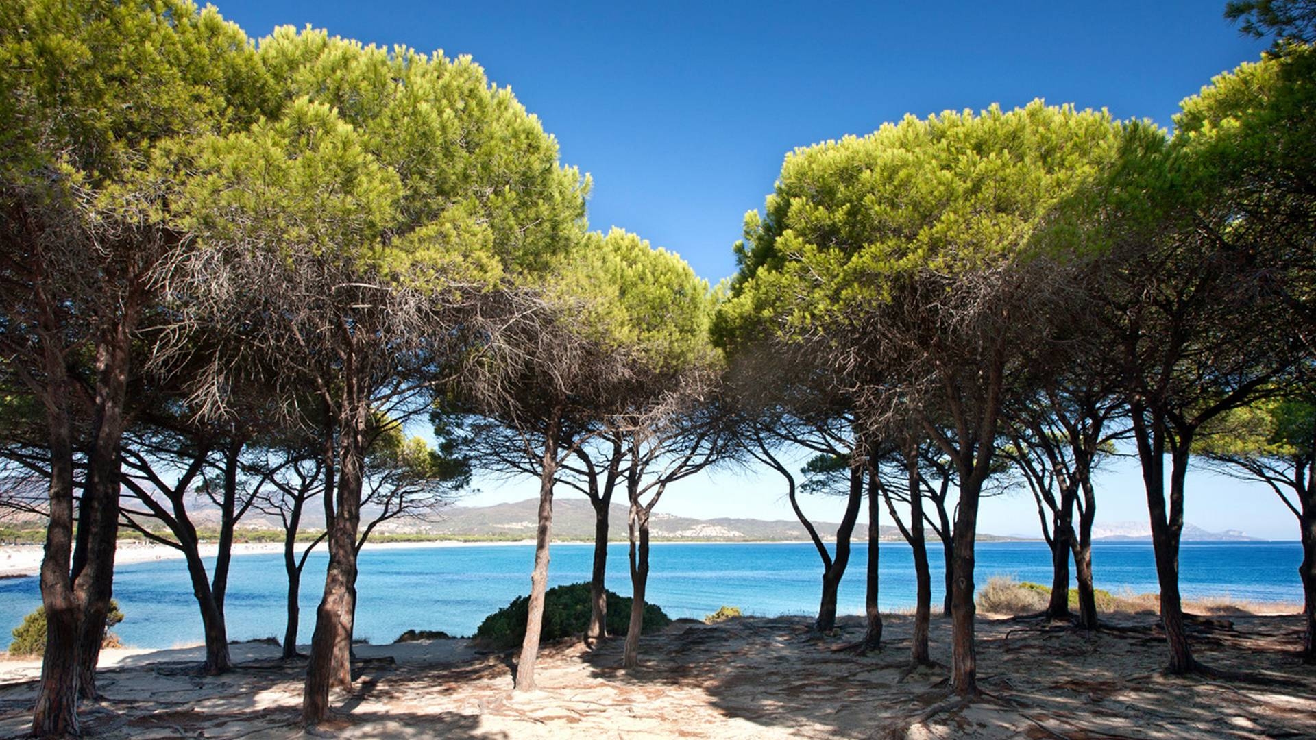 Residenza Spiaggia Grande