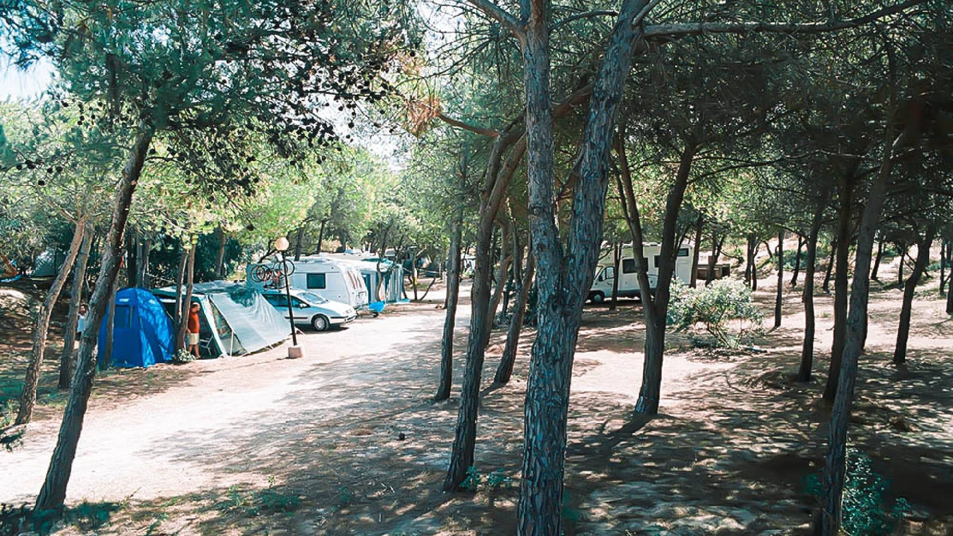 Camping Village Li Nibari