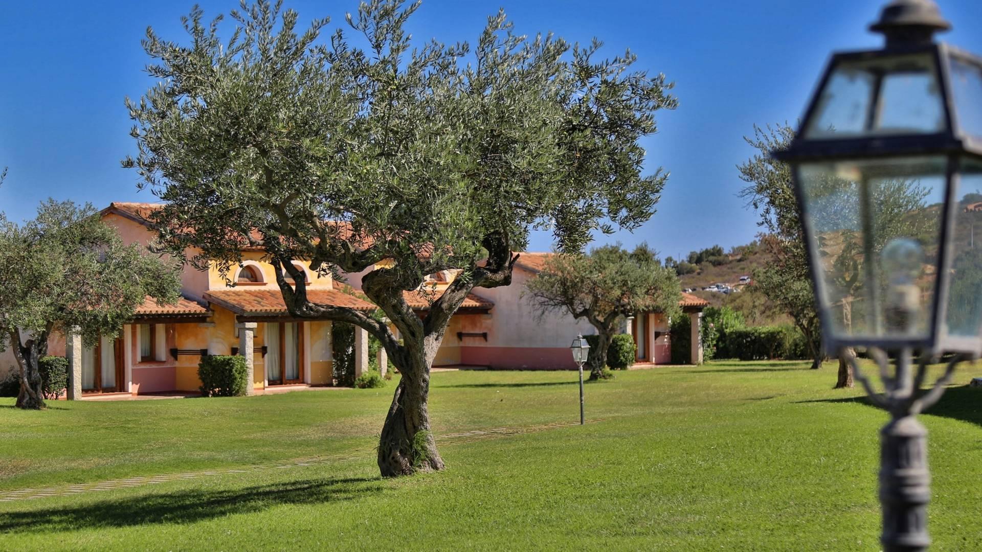 TH San Teodoro Liscia Eldi Village