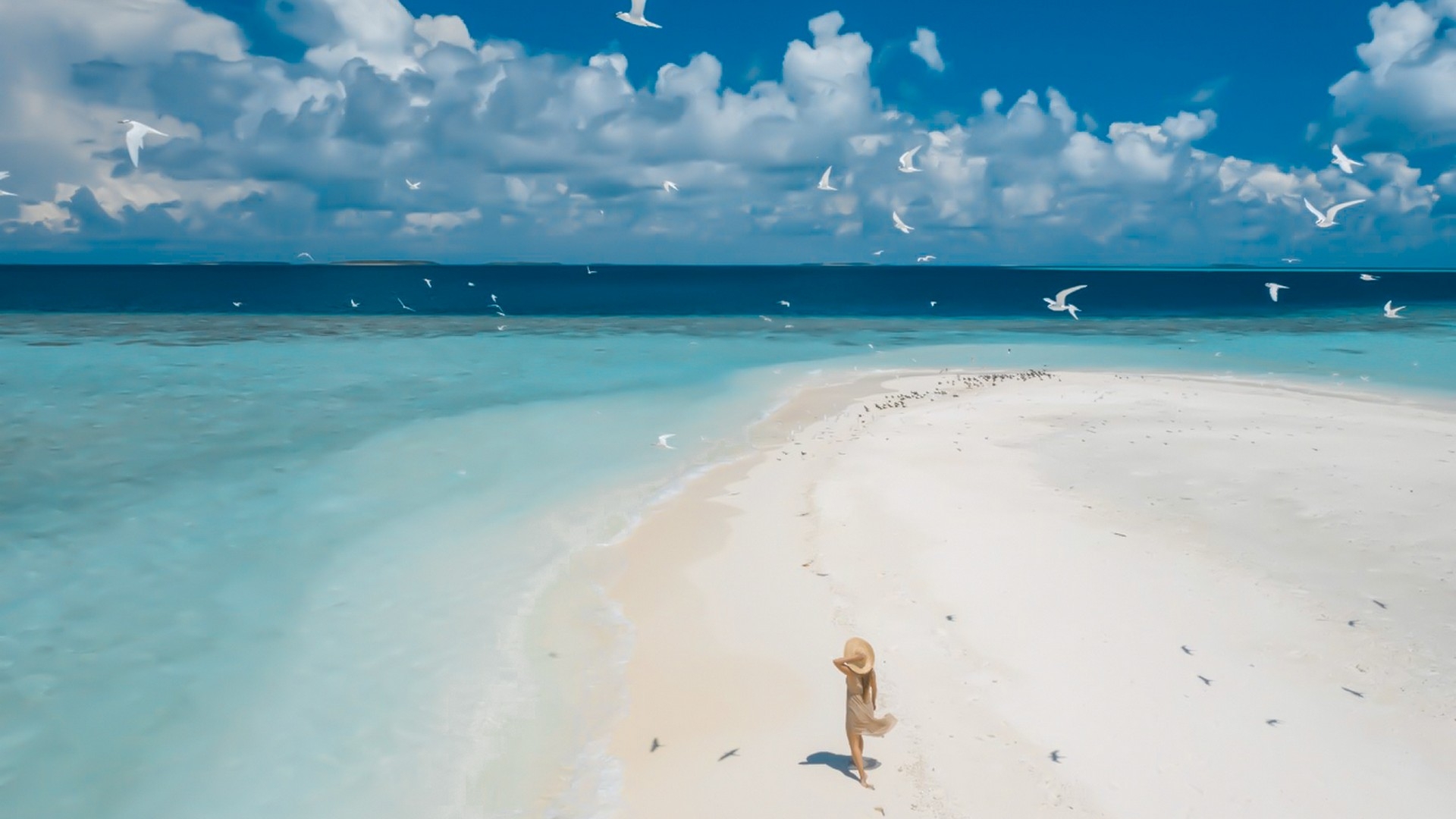 Paradise Island