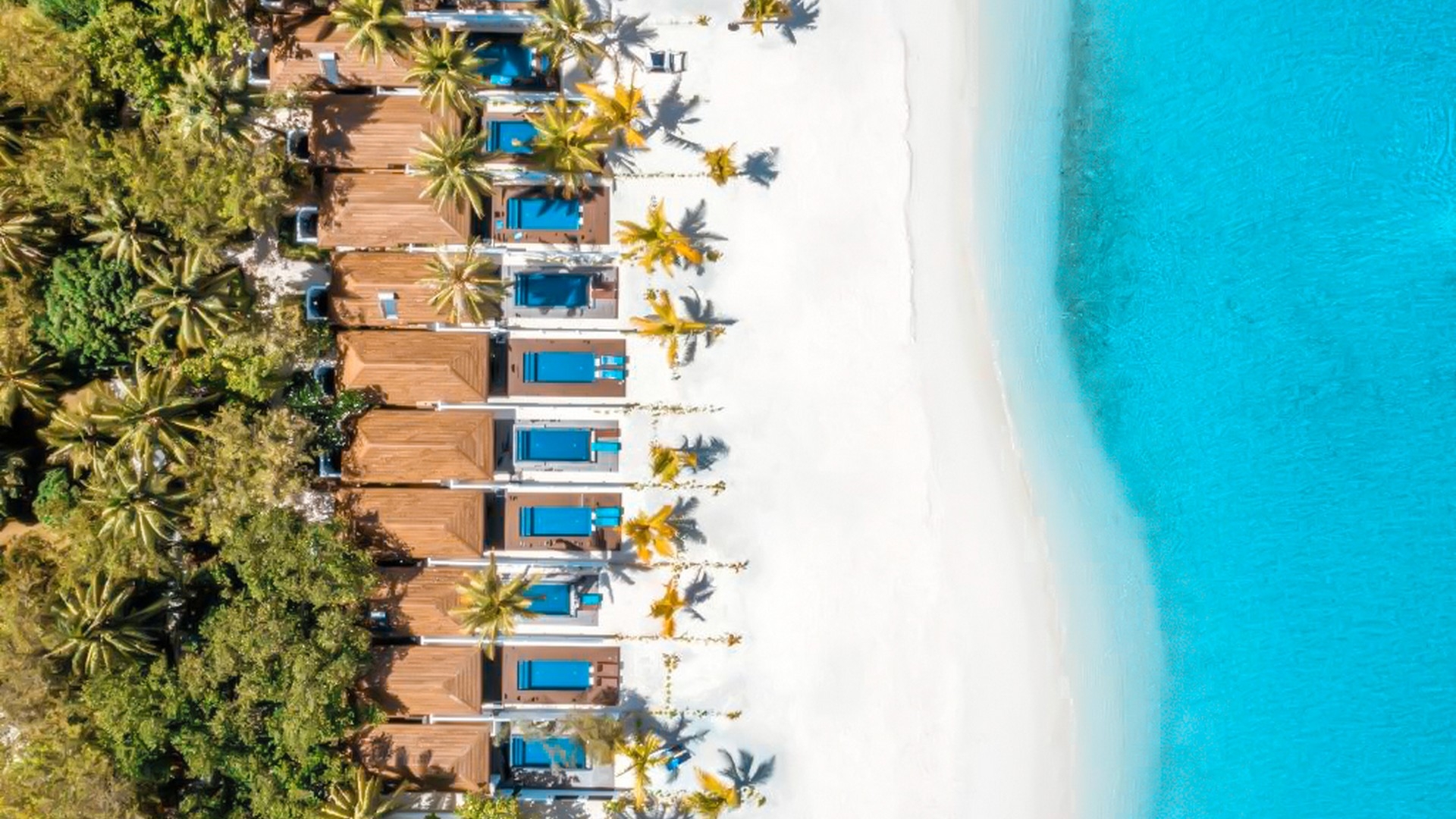 Paradise Island