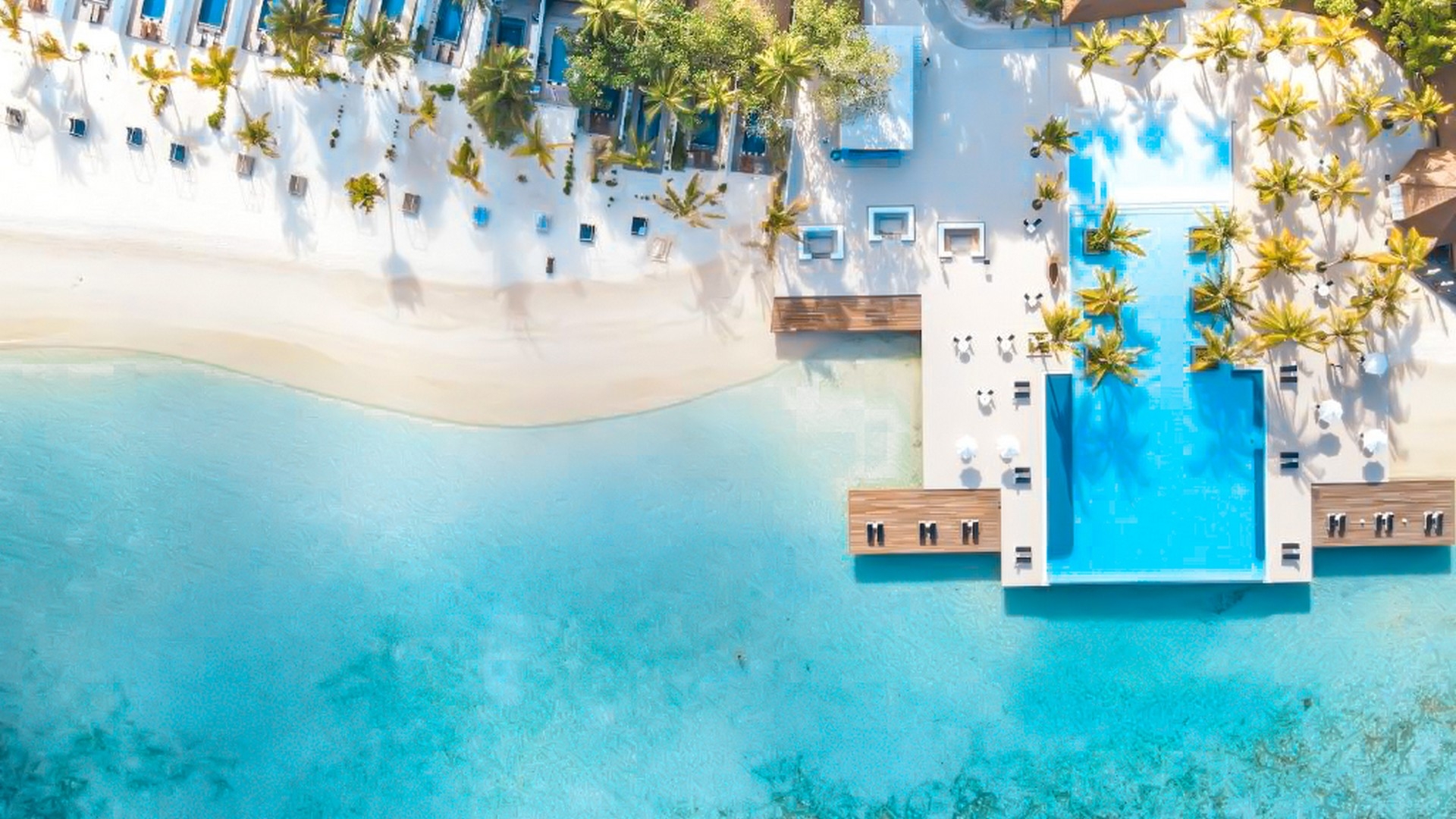 Paradise Island