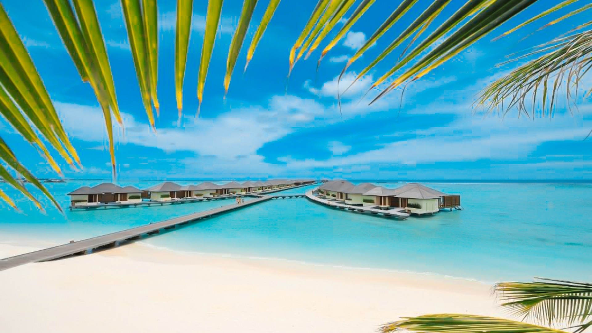 Paradise Island
