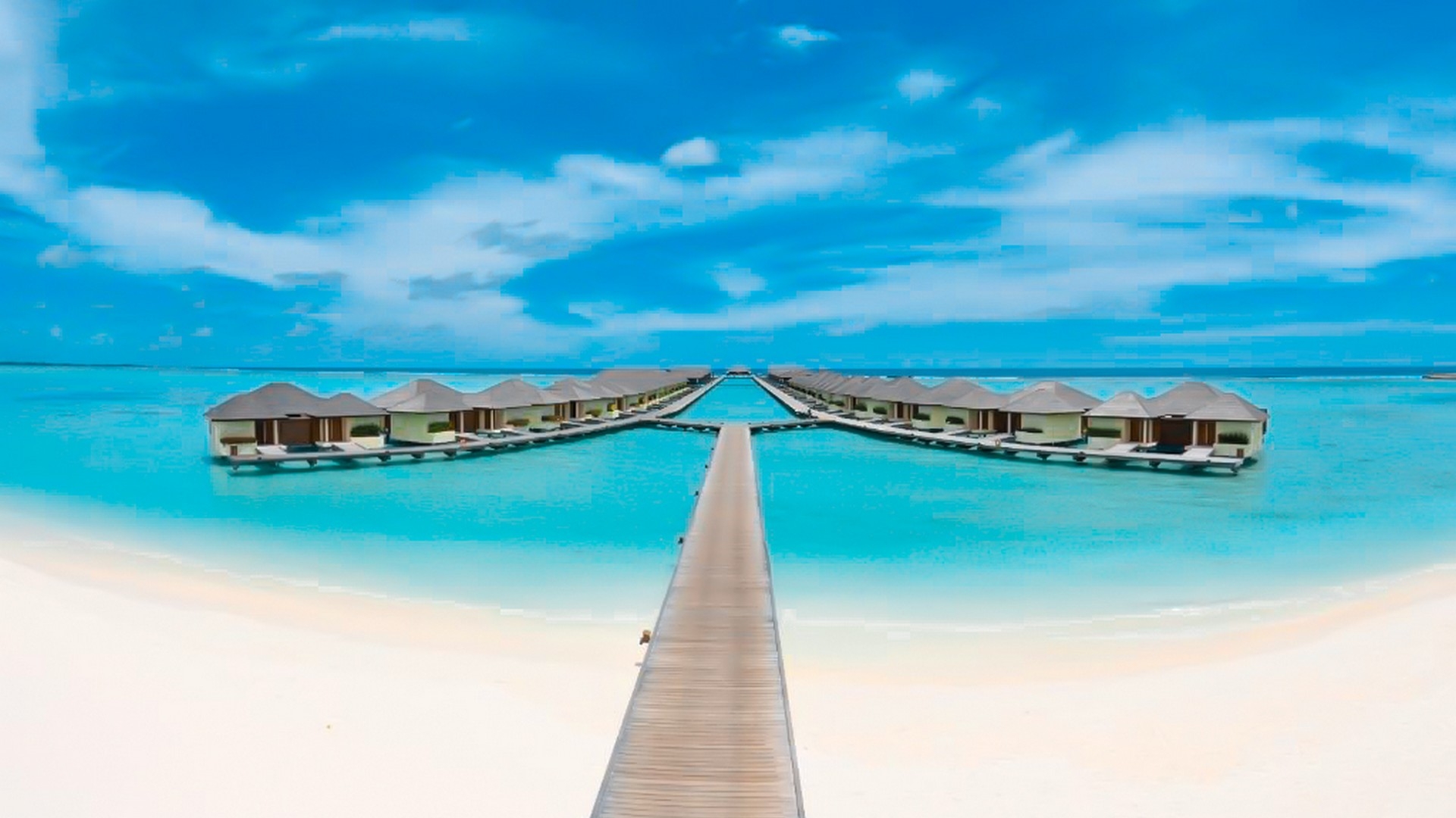 Paradise Island