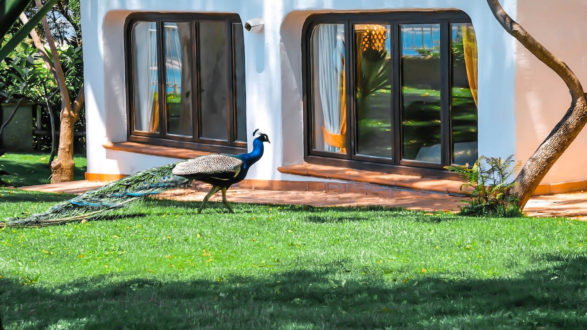 Arbatax Park Resort - Le Ville Del Parco