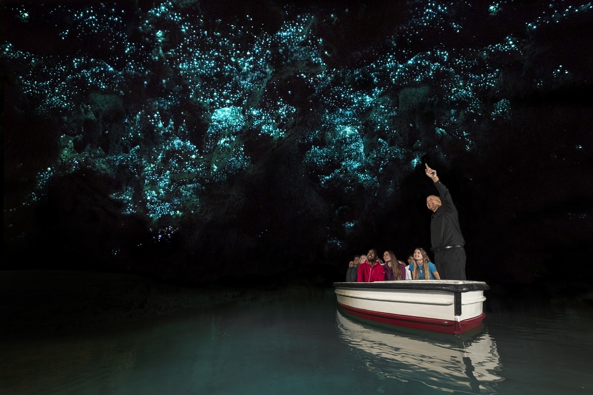 Waitomo Glowworm Caves illuminate da lucciole, Nuova Zelanda