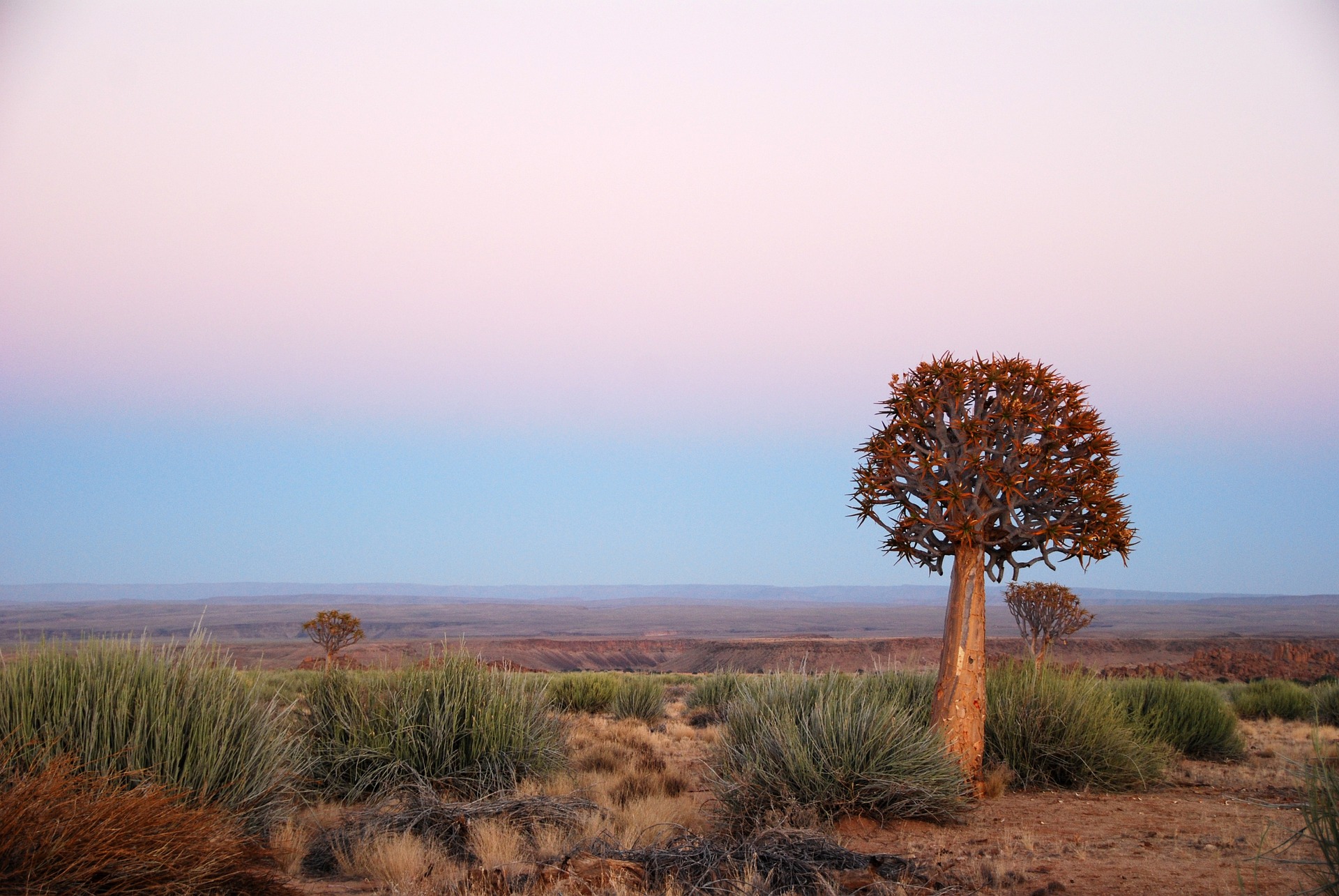 Artigianato africano al mercato di Okahandja lungo la strada verso Windhoek, con sculture in legno e oggetti tradizionali namibiani