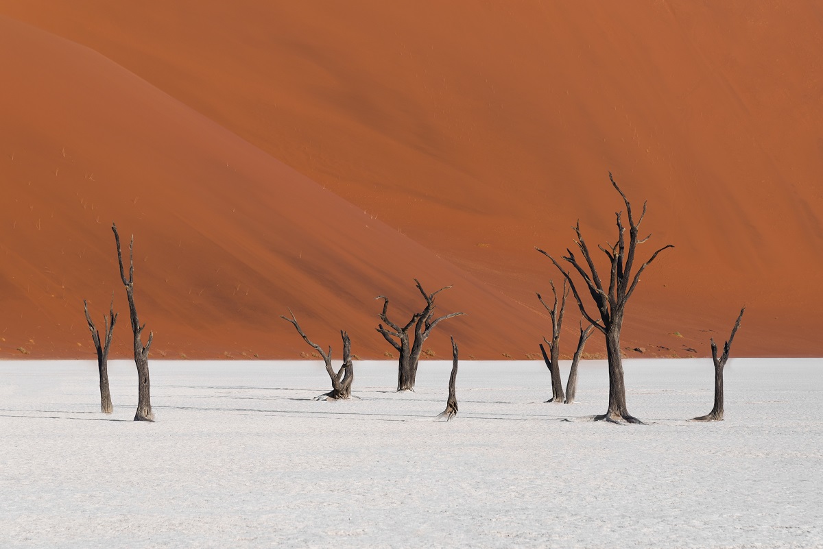 Dune di sabbia rossa a Sossusvlei nel Deserto del Namib, le più alte del mondo con Deadvlei e il Sesriem Canyon, Namibia