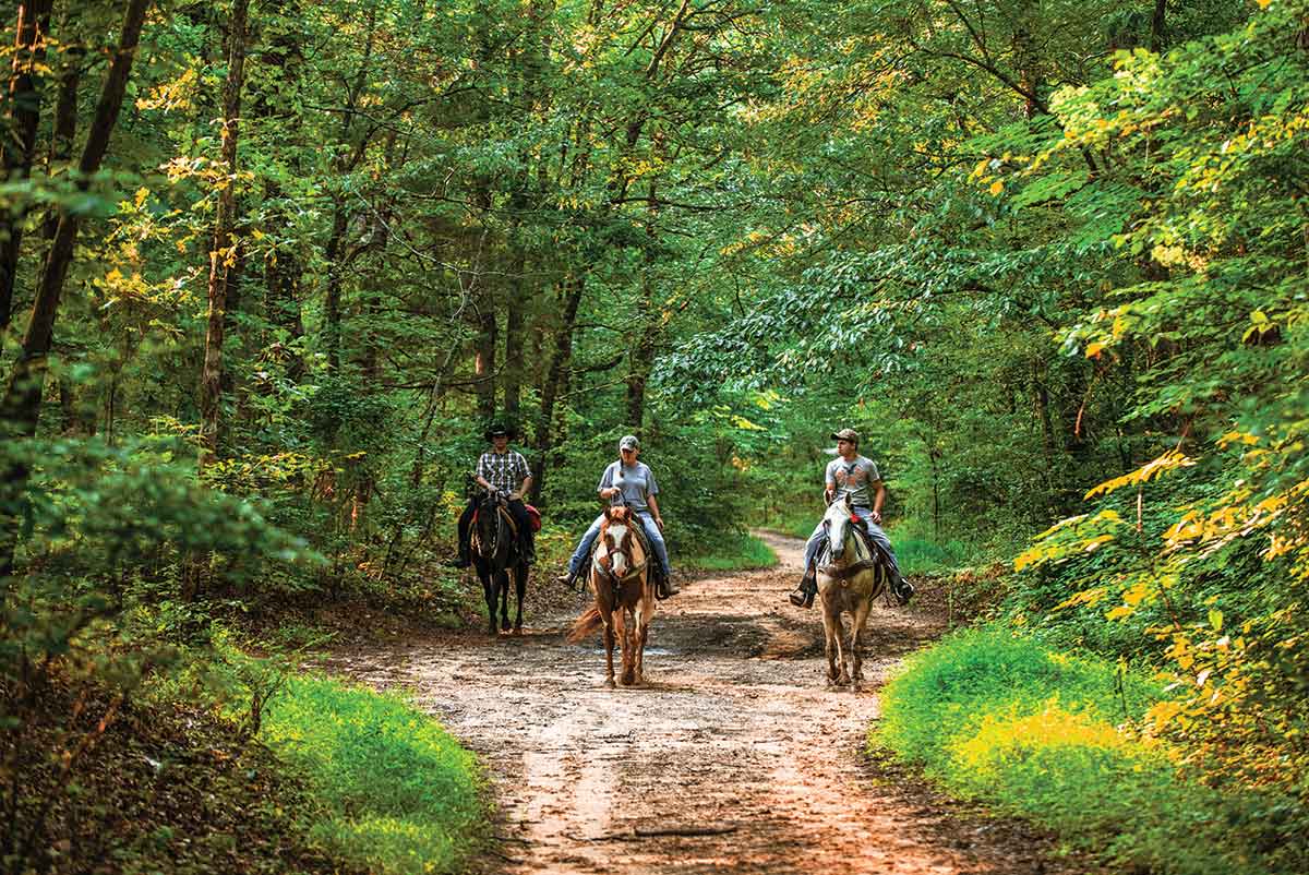 Escursione a cavallo sui sentieri del Parco Nazionale delle Great Smoky Mountains, North Carolina