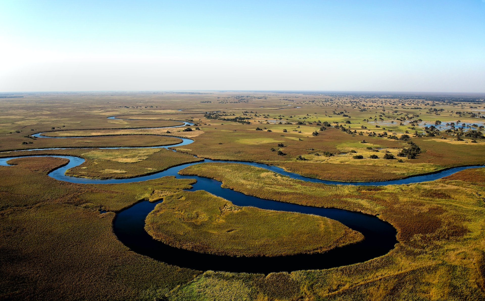 Delta dell'Okavango in Botswana, navigazione in mokoro tra i canali della zona di Nxamasire con fauna e uccelli tropicali